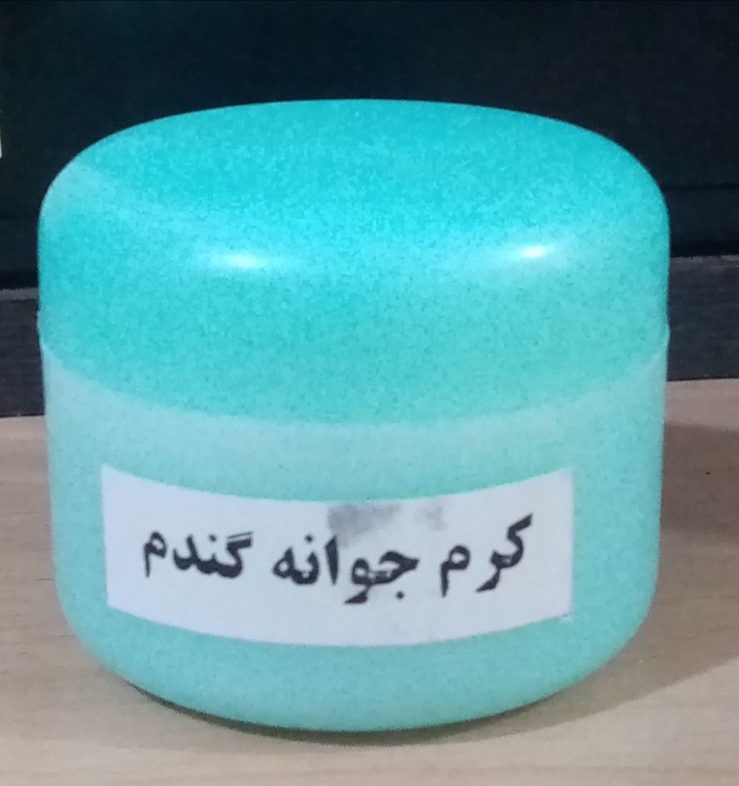 کرم جوانه گندم