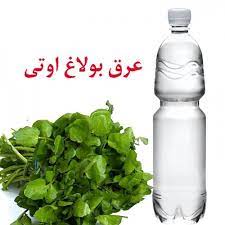 عرق بولاغ اتی