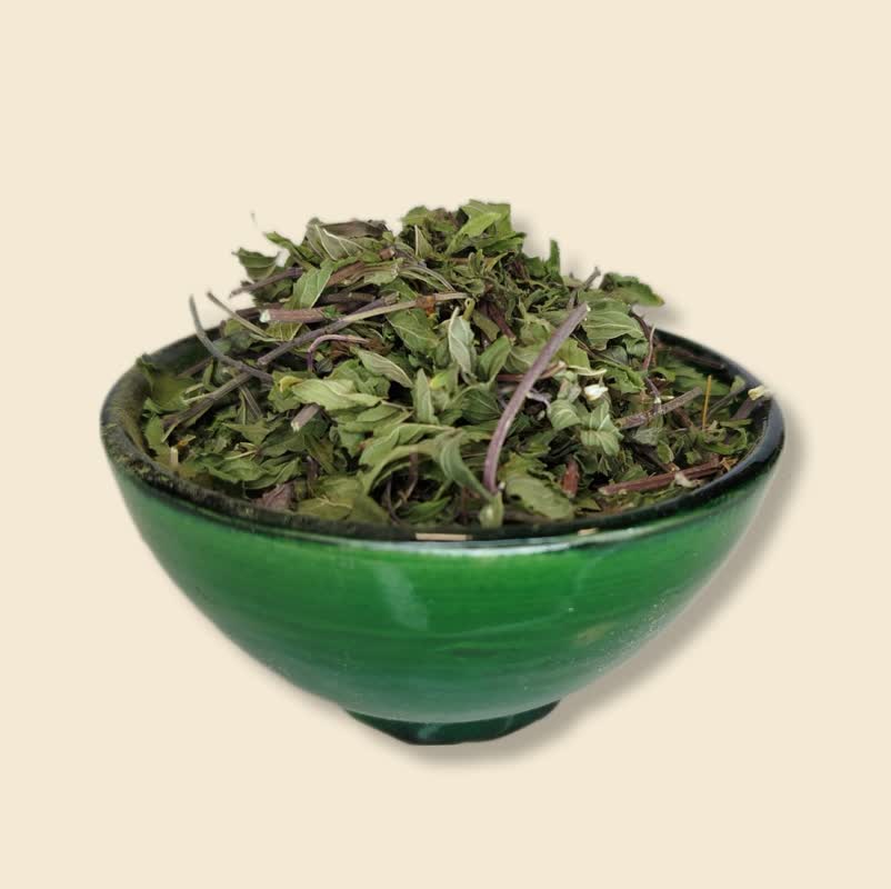 گیاه بادرنجبویه