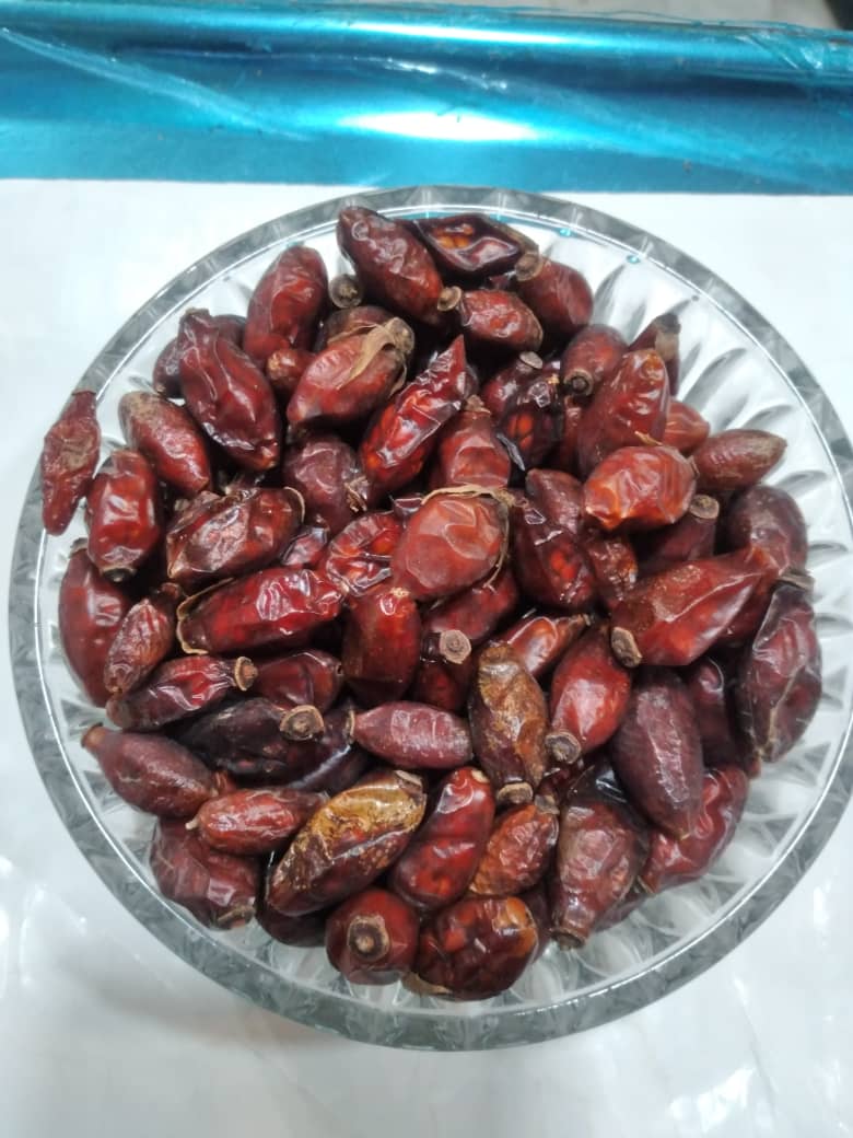 میوه گل نسترن 