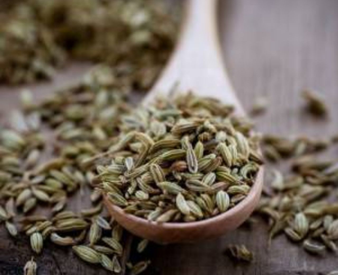 گیاه رازیانه