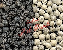 فلفل سیاه و سفید 