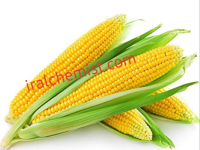 ذرت و کاکوتی ذرت 